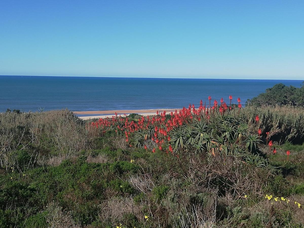 Pearl Of Nazare Διαμέρισμα Εξωτερικό φωτογραφία