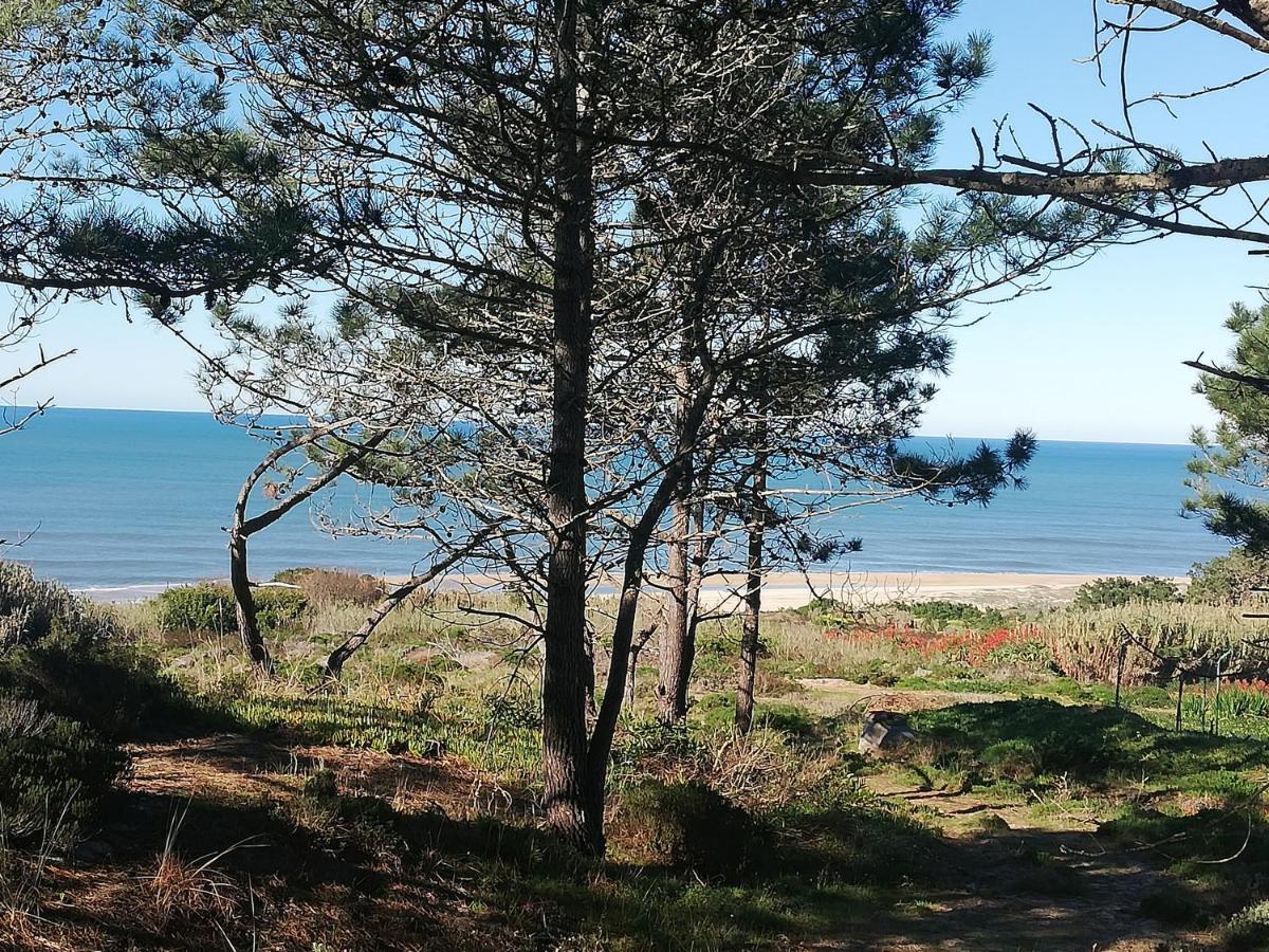 Pearl Of Nazare Διαμέρισμα Εξωτερικό φωτογραφία